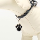 Адресник под гравировку «Лапа», 2.5×2.5 см, фасовка по 6 шт., металл, цвет МИКС - Фото 6