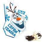 Ароматизатор в авто "Сорви-голова", Холодное Сердце - Фото 1