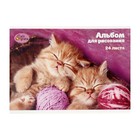 Альбом для рисования А5, 24 листа на скрепке "Милые котята", обложка мелованный картон, блок 100 г/м² - фото 320578651