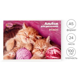 Альбом для рисования А5, 24 листа на скрепке 'Милые котята', обложка мелованный картон, блок 100 г/м?
