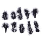 Набор перьев для декора 10 шт., размер 1 шт: 10 × 2 см, цвет чёрный - Фото 1
