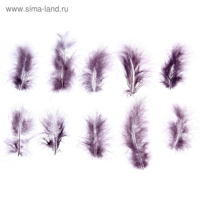 Набор перьев для декора 10 шт., размер 1 шт: 10 × 2 см, цвет серый - Фото 1