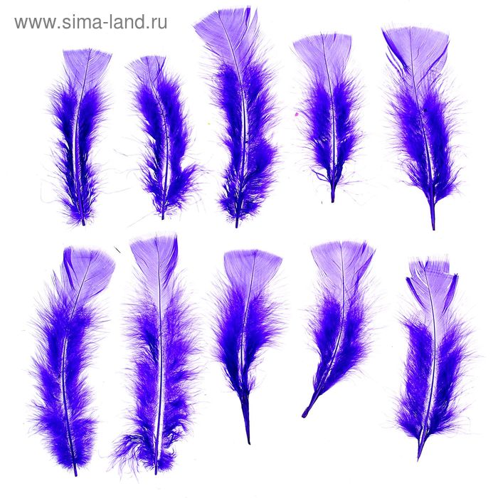 Набор перьев для декора 10 шт., размер 1 шт: 16 × 4 см, цвет синий - Фото 1