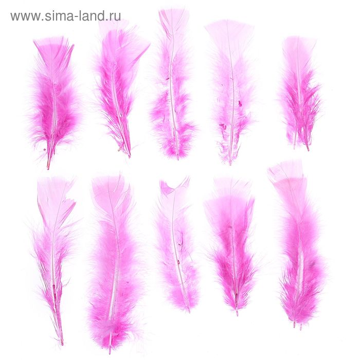 Набор перьев для декора 10 шт., размер1 шт: 16 × 4 см, цвет розовый - Фото 1