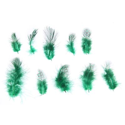 Набор перьев для декора 10 шт., размер 1 шт: 5 × 2 см, цвет зелёный с чёрным