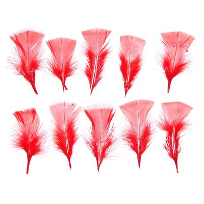 Набор перьев для декора 10 шт., размер 1 шт: 10 × 4 см, цвет красный