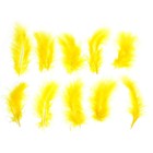 Набор перьев для декора 10 шт., размер 1 шт: 10 × 2 см, цвет жёлтый - фото 317894853