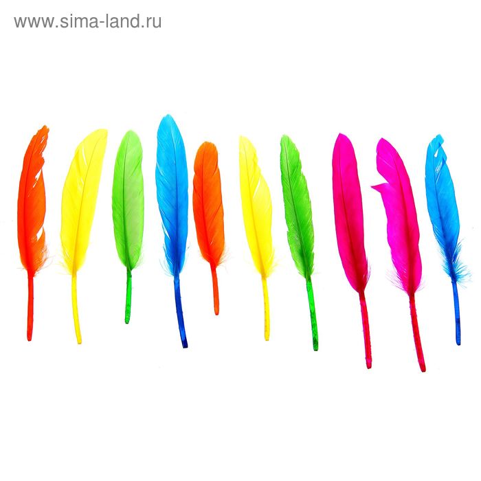 Набор перьев для декора 10 шт., размер 1 шт: 15 × 1,5 см, цвета МИКС - Фото 1