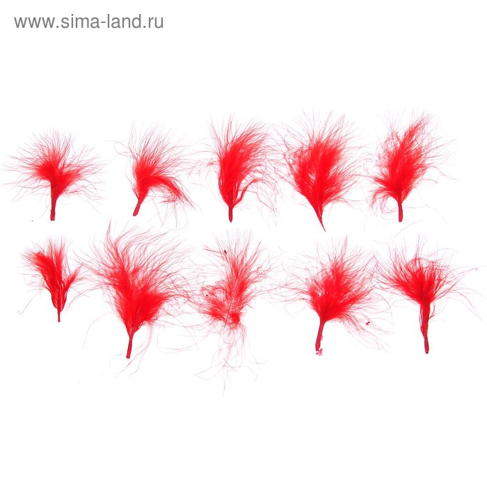 Набор перьев для декора 10 шт., размер 1 шт: 7 × 7 см, цвет красный - Фото 1