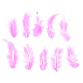 Набор перьев для декора 10 шт., размер 1 шт: 10 × 2 см, цвет розовый Ош