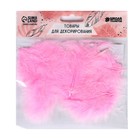 Набор перьев для декора 10 шт., размер 1 шт.: 10×2 см, розовый - Фото 2