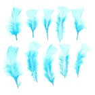 Набор перьев для декора 10 шт., размер 1 шт: 10 × 4 см, цвет голубой - Фото 1