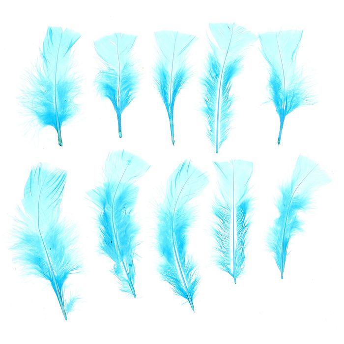 Набор перьев для декора 10 шт., размер 1 шт: 10 × 4 см, цвет голубой