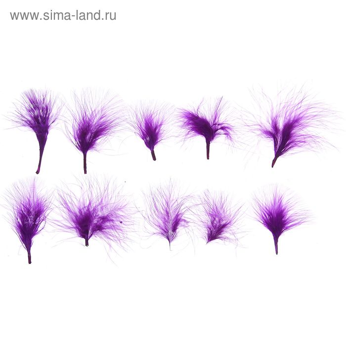 Набор перьев для декора 10 шт., размер 1 шт: 7 × 7 см, цвет фиолетовый - Фото 1
