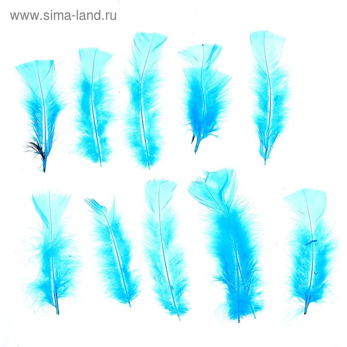Набор перьев для декора 10 шт., размер 1 шт: 16 × 4 см, цвет голубой - Фото 1
