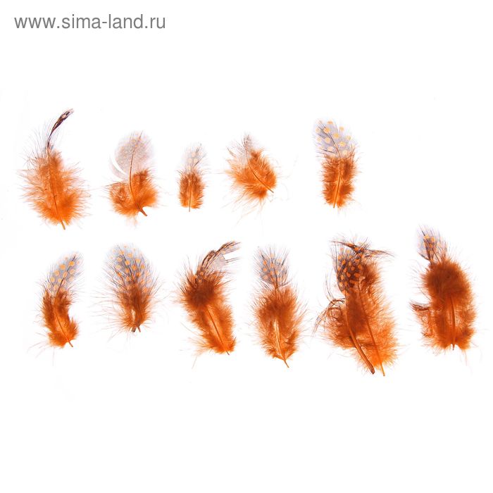 Набор перьев для декора 10 шт., размер 1 шт: 5 × 2 см, цвет оранжевый с чёрным - Фото 1