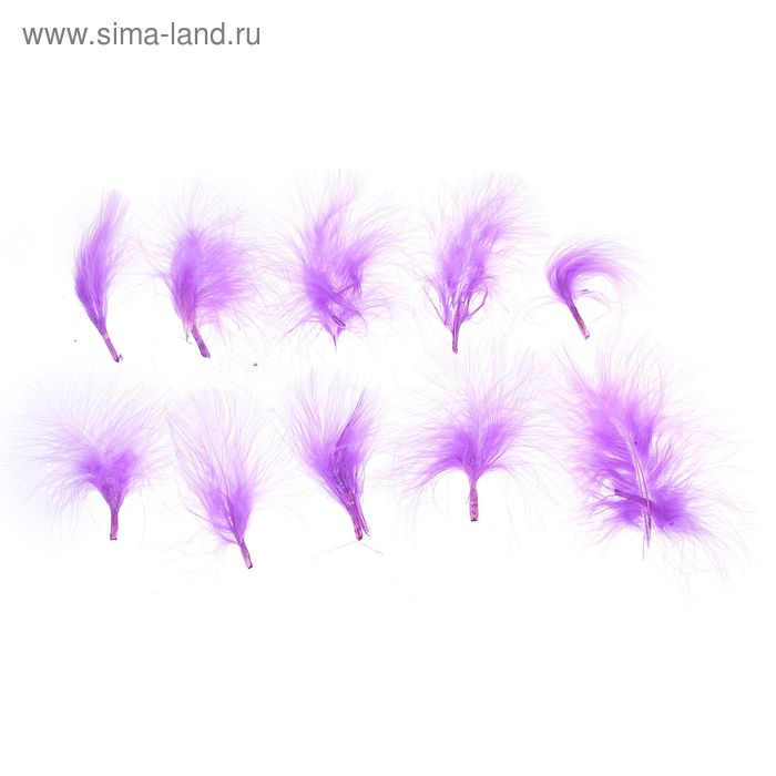 Набор перьев для декора 10 шт., размер 1 шт: 7 × 7 см, цвет фиолетовый - Фото 1