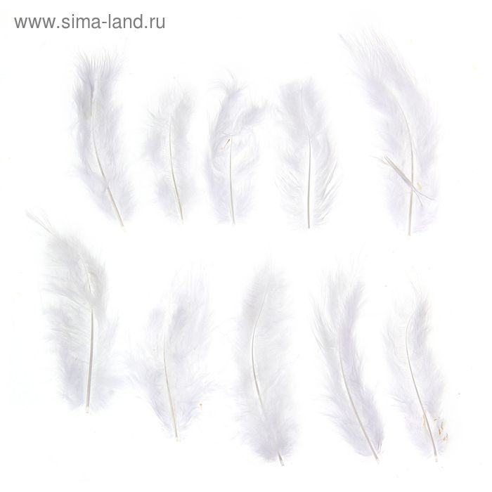 Набор перьев для декора 10 шт., размер 1 шт: 10 × 2 см, цвет белый - Фото 1