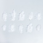 Набор перьев для декора 10 шт., размер 1 шт: 10 × 2 см, цвет белый - фото 8271136