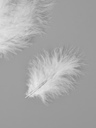 Набор перьев для декора 10 шт., размер 1 шт.: 10×2 см, цвет белый - Фото 1