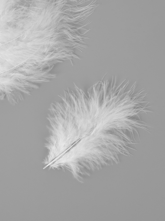 Набор перьев для декора 10 шт., размер 1 шт.: 10×2 см, цвет белый - Фото 1