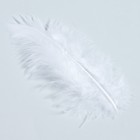 Набор перьев для декора 10 шт., размер 1 шт: 10 × 2 см, цвет белый - фото 8271137