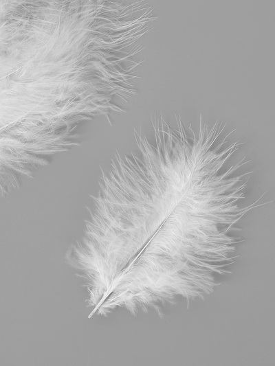 Набор перьев для декора 10 шт., размер 1 шт.: 10×2 см, цвет белый