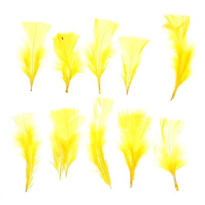 Набор перьев для декора 10 шт., размер 1 шт: 10 × 4 см, цвет жёлтый