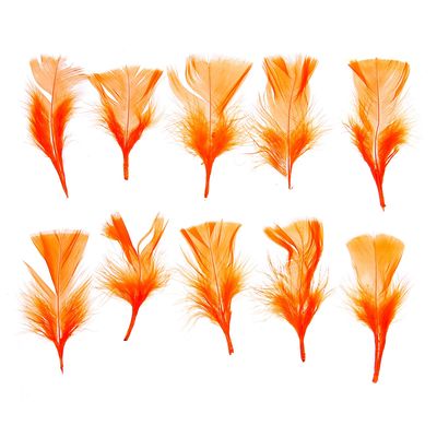 Набор перьев для декора 10 шт., размер 1 шт: 10 × 4 см, цвет оранжевый
