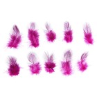 Набор перьев для декора 10 шт., размер 1 шт: 5 × 2 см, цвет розовый с чёрным - фото 297774231