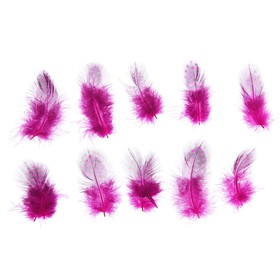 Набор перьев для декора 10 шт., размер 1 шт: 5 × 2 см, цвет розовый с чёрным Ош