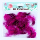 Набор перьев для декора 10 шт., размер 1 шт: 5 × 2 см, цвет розовый с чёрным - фото 8567734