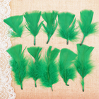 Набор перьев для декора 10 шт., размер 1 шт: 10 × 4 см, цвет светло зелёный - Фото 2