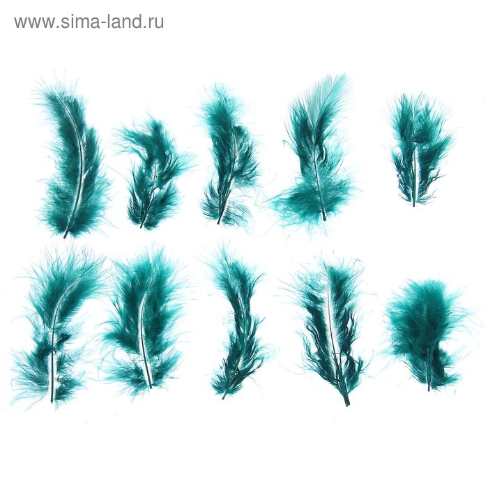 Набор перьев для декора 10 шт., размер 1 шт: 10 × 2 см, цвет изумрудный - Фото 1