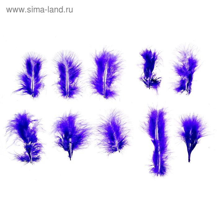 Набор перьев для декора 10 шт., размер 1 шт: 10 × 2 см, цвет насыщенно синий - Фото 1