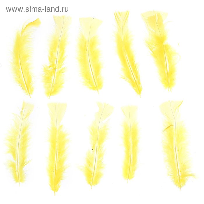 Набор перьев для декора 10 шт., размер 1 шт: 16 × 4 см, цвет жёлтый - Фото 1