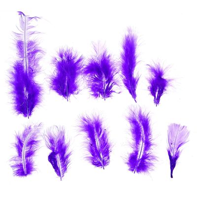 Набор перьев для декора 10 шт., размер 1 шт: 10 × 2 см, цвет фиолетовый