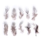 Набор перьев для декора 10 шт., размер 1 шт: 5 × 2 см, цвет коричневый с белым - фото 317894863