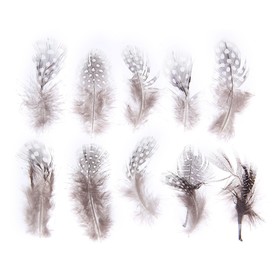 Набор перьев для декора 10 шт., размер 1 шт: 5 x 2 см, цвет коричневый с белым