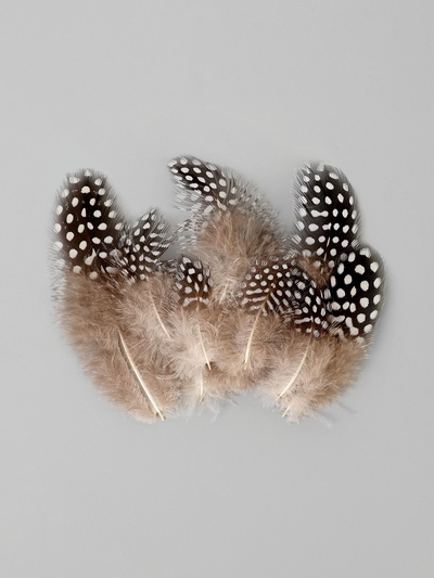 Набор перьев для декора 10 шт., размер 1 шт.: 5×2 см, коричневый с белым