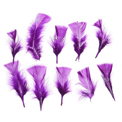 Набор перьев для декора 10 шт., размер 1 шт: 10 × 4 см, цвет фиолетовый