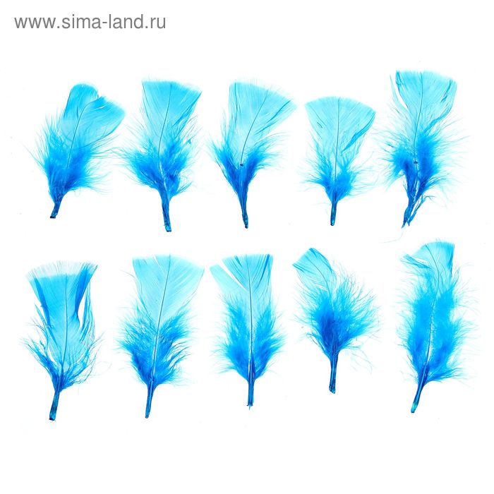Набор перьев для декора 10 шт., размер 1 шт: 10 × 4 см, цвет насыщенно голубой - Фото 1