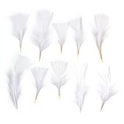 Набор перьев для декора 10 шт., размер 1 шт: 10 × 4 см, цвет белый - фото 8271144