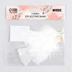 Набор перьев для декора 10 шт., размер 1 шт.: 10×4 см, белый - Фото 3