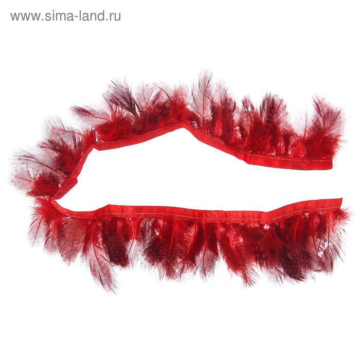 Лента перьев для декора, размер 1 шт: 50 × 6 см, цвет красно-чёрный - Фото 1