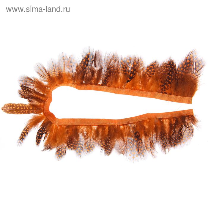 Лента перьев для декора, размер 1 шт: 50 × 6 см, цвет оранжево-чёрный - Фото 1