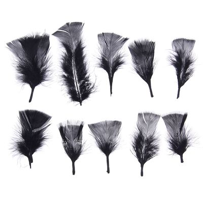 Набор перьев для декора 10 шт., размер 1 шт: 10 × 4 см, цвет чёрный