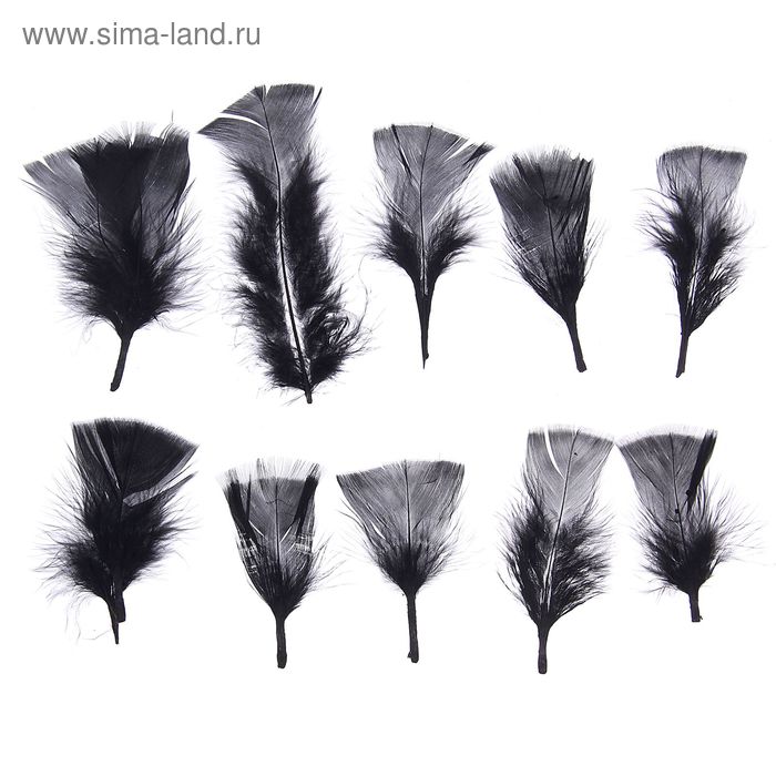Набор перьев для декора 10 шт., размер 1 шт: 10 × 4 см, цвет чёрный - Фото 1