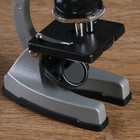 Микроскоп с проектором, кратность увеличения 50-1200х, с подсветкой, 2АА - Фото 2