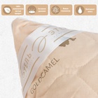 Подушка «Этель», подстёжка — верблюжья шерсть, 70×70 см, тик - Фото 2